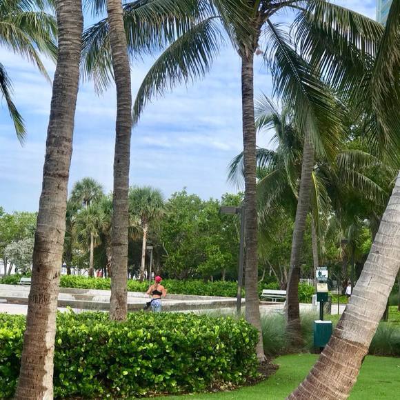 Meet your Posher, Carolina - Picture 1 of 1